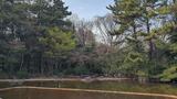 光が丘公園