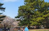 光が丘公園