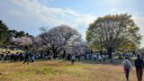 光が丘公園
