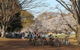 光が丘公園