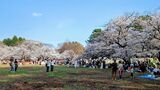 光が丘公園