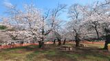 光が丘公園