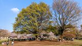 光が丘公園