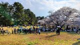 光が丘公園