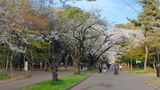 光が丘公園