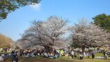 光が丘公園