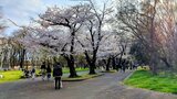 光が丘公園