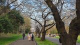 光が丘公園