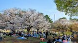 光が丘公園