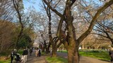 光が丘公園
