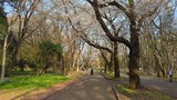 光が丘公園