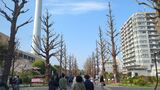 光が丘公園