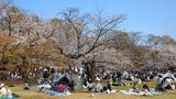 光が丘公園
