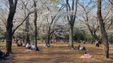 光が丘公園