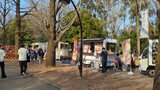 光が丘公園