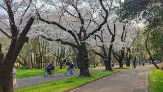 PHOTO 光が丘公園#3