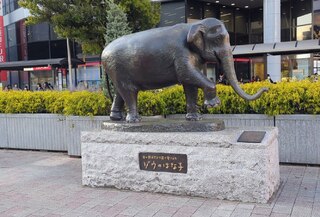 PHOTO 吉祥寺サンロード商店街#4
