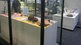南極・北極科学館