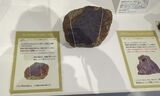 南極・北極科学館