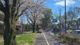 南極・北極科学館