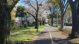 南極・北極科学館