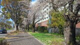 南極・北極科学館