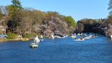 井の頭恩賜公園
