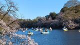 井の頭恩賜公園