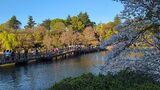 井の頭恩賜公園