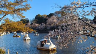 井の頭恩賜公園