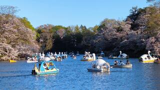 井の頭恩賜公園