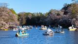 井の頭恩賜公園