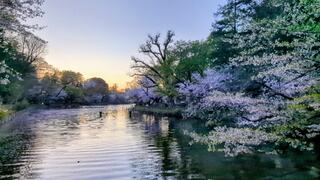 PHOTO 井の頭恩賜公園#5