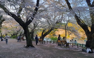 PHOTO 井の頭恩賜公園#6
