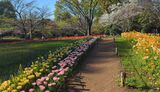 国営昭和記念公園