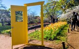 国営昭和記念公園