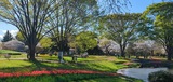 国営昭和記念公園