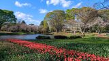 国営昭和記念公園