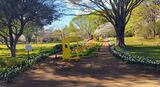 国営昭和記念公園
