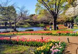 国営昭和記念公園