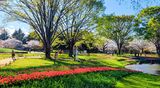 国営昭和記念公園