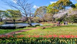 国営昭和記念公園