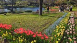 国営昭和記念公園