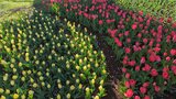 国営昭和記念公園