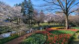 国営昭和記念公園