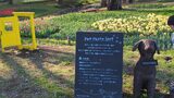 国営昭和記念公園