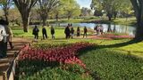 国営昭和記念公園
