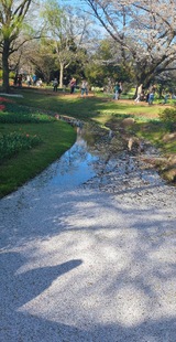 国営昭和記念公園