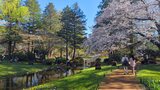 国営昭和記念公園