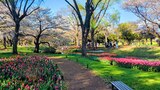 国営昭和記念公園